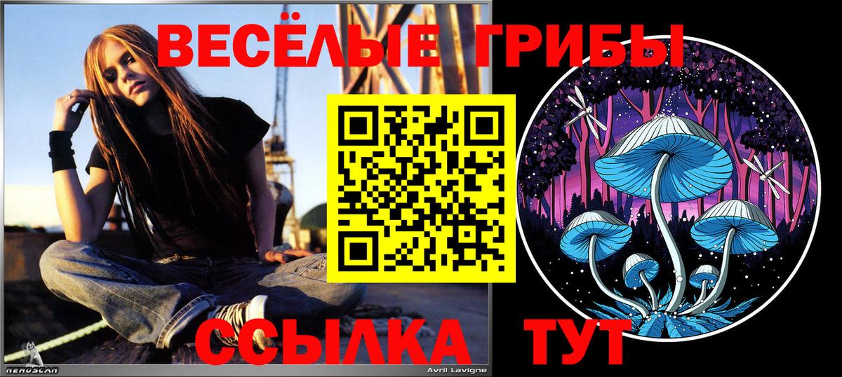 Галлюциногенные грибы прущие грибы  Галлюциногенные грибы Magic Shrooms  Вход с VPN  Кореновск 